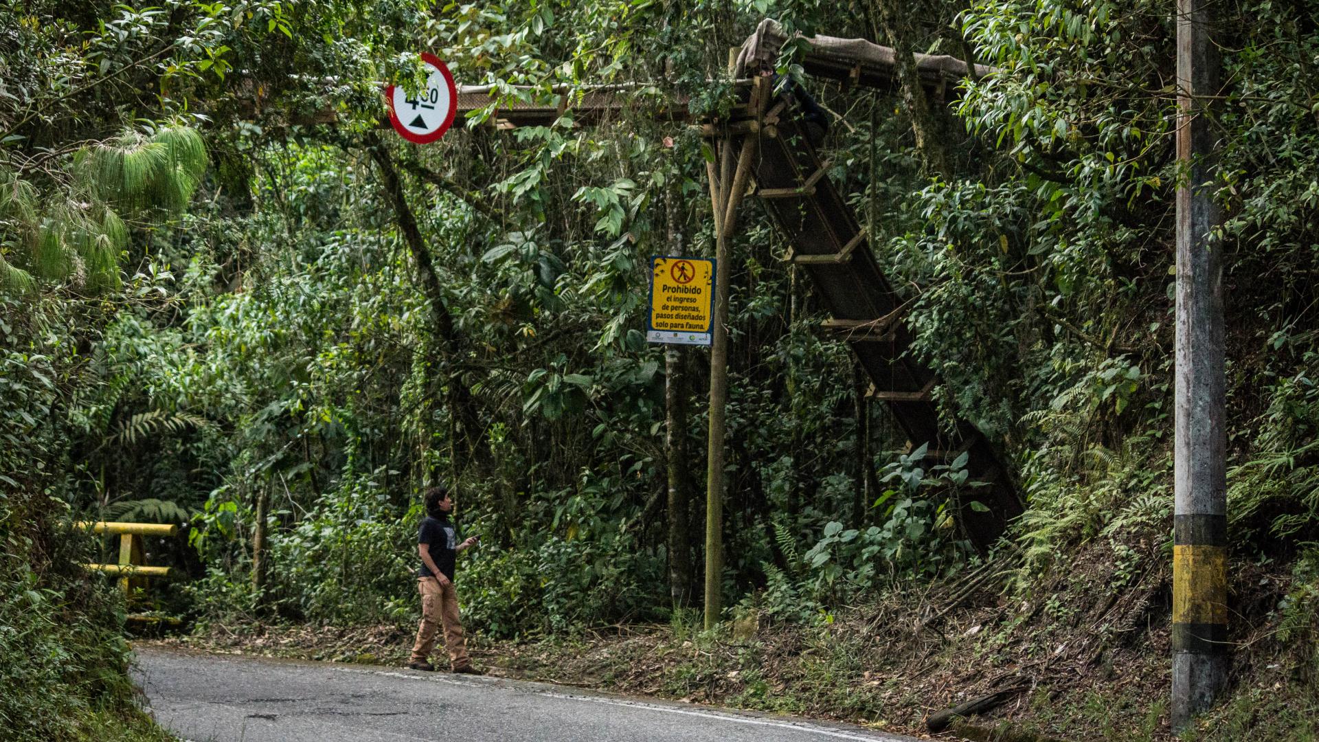 Envigado Conservation activities