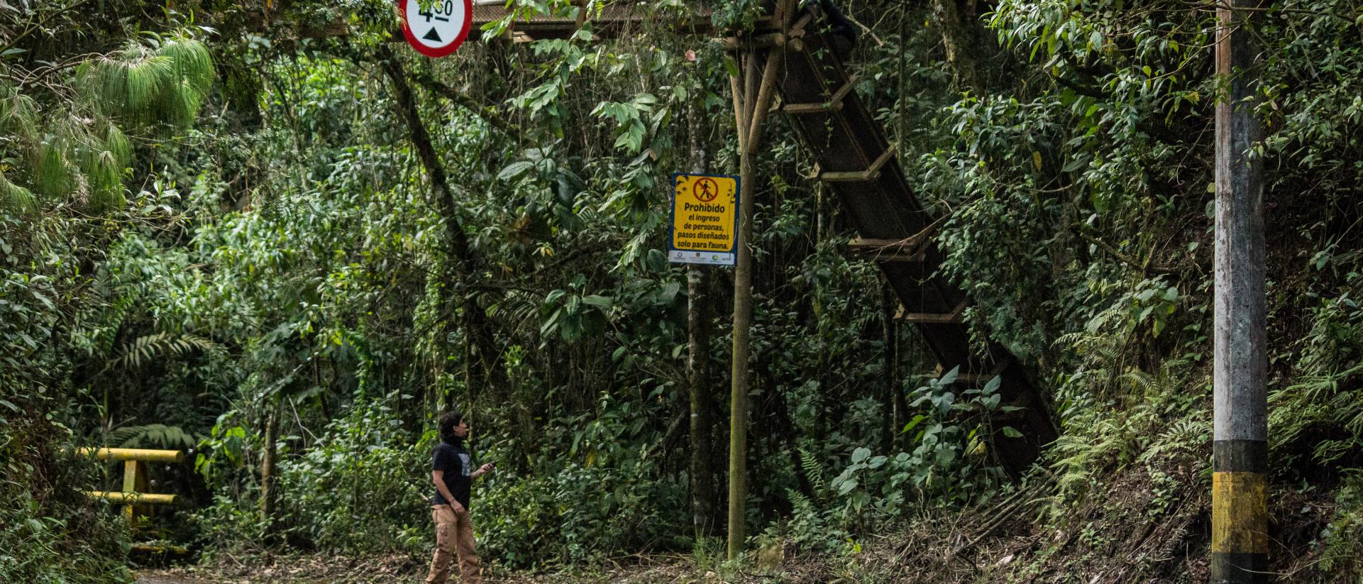 Envigado Conservation activities