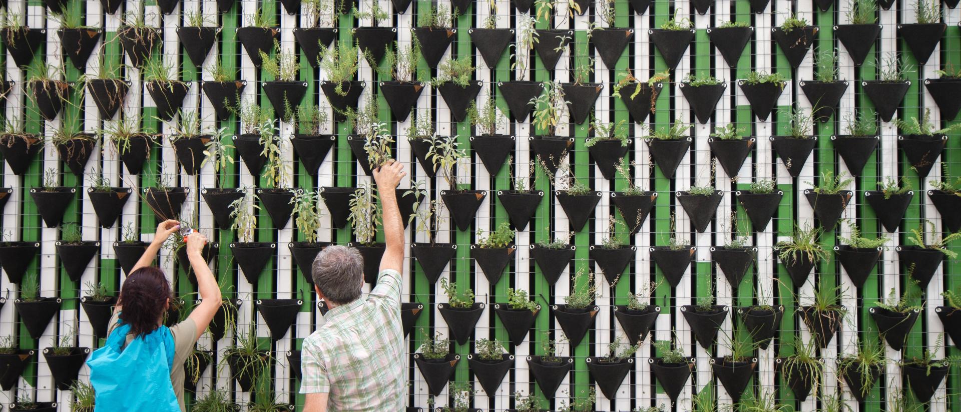 People in front of plant wall