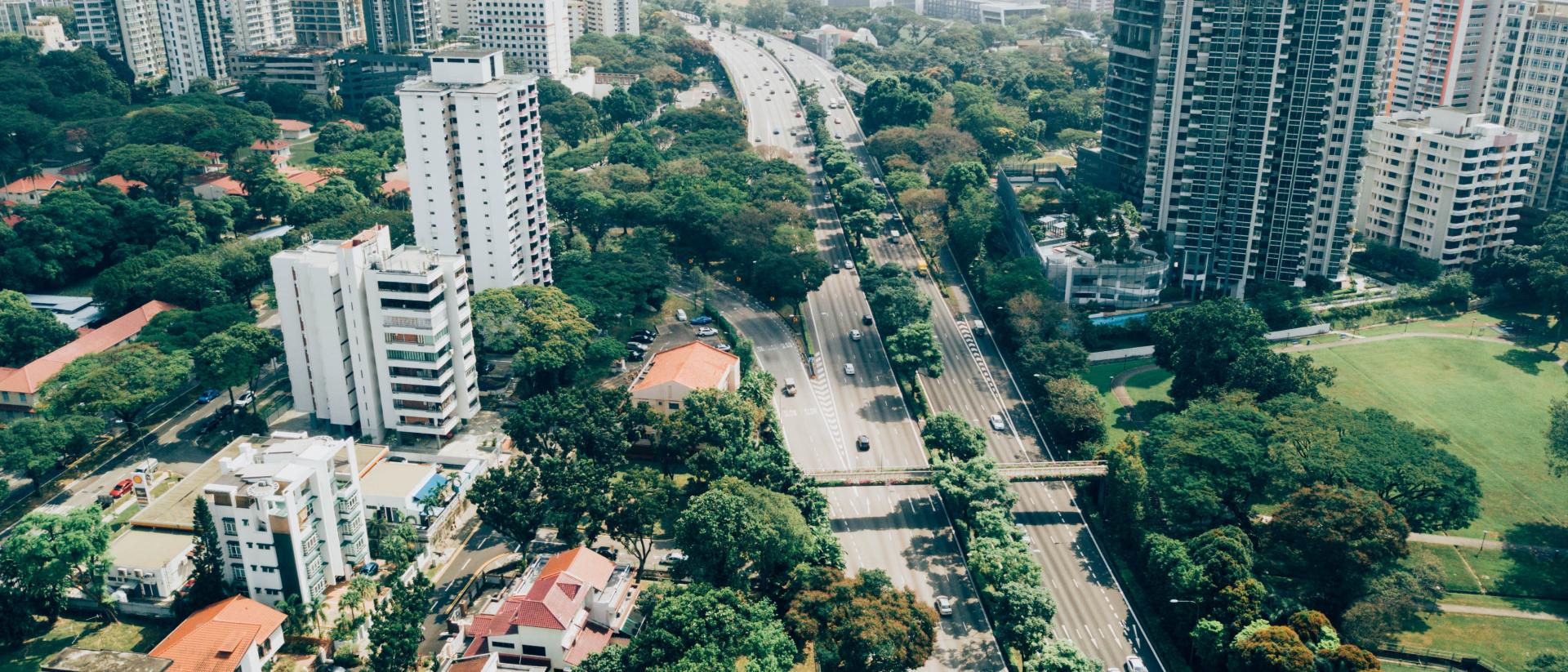 Green city view